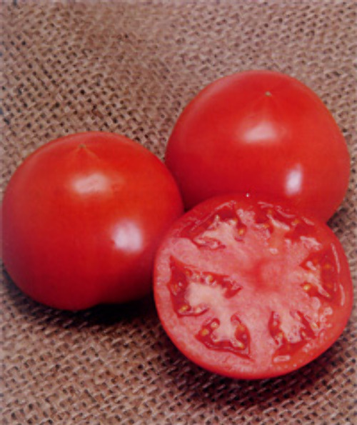 00007785_photo1.jpg