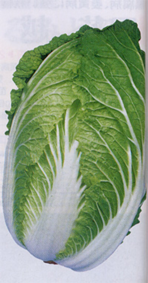 00007846_photo1.jpg