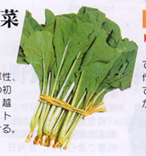00007857_photo1.jpg