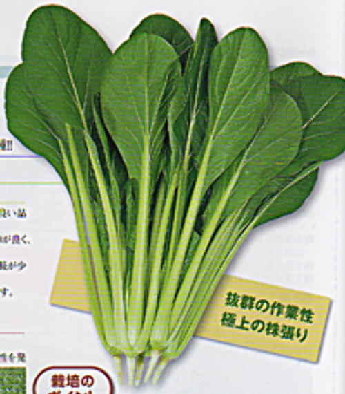 00007871_photo1.jpg
