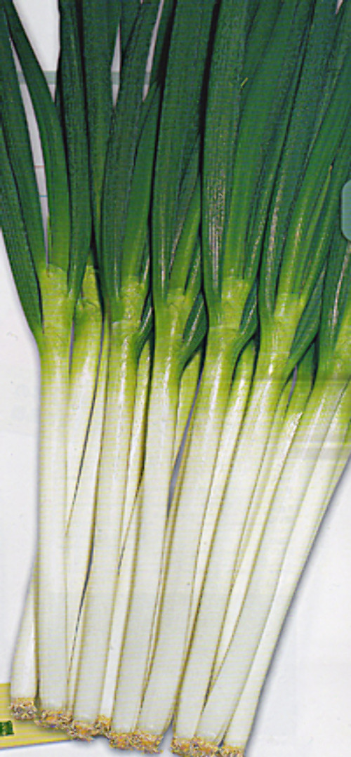 00007881_photo1.jpg
