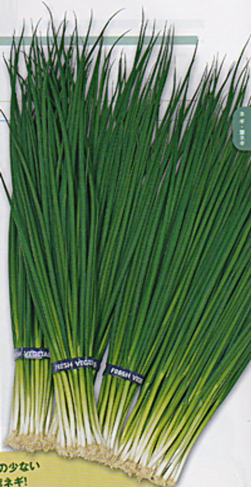 00007882_photo1.jpg