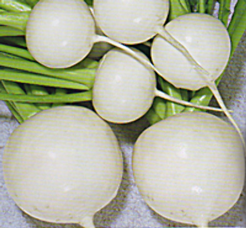 00007885_photo1.jpg
