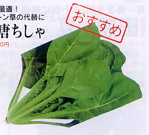 00007904_photo1.jpg