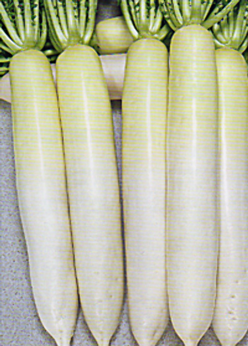 00007921_photo1.jpg