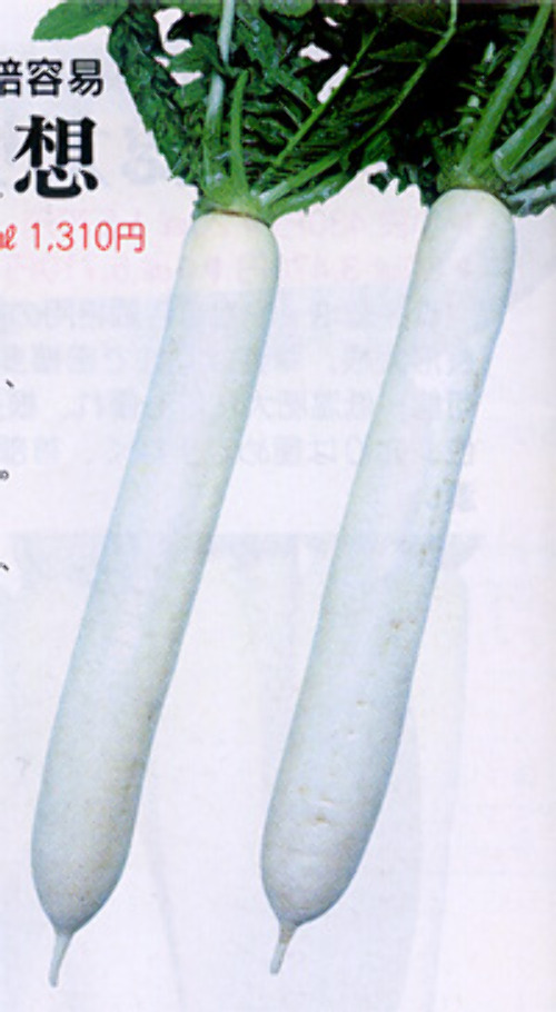 00007969_photo1.jpg