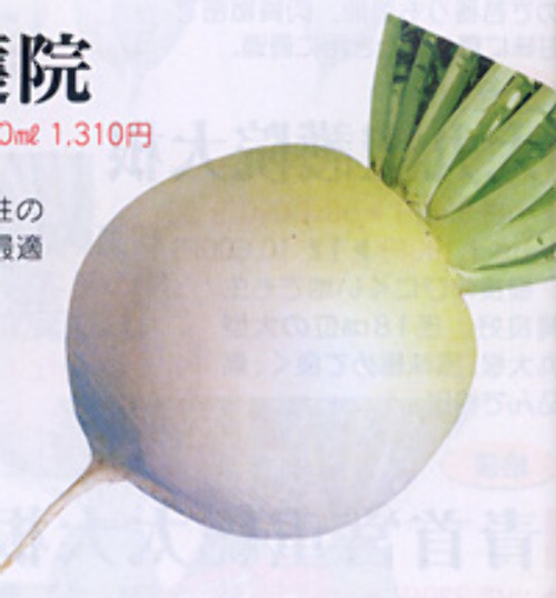 00007973_photo1.jpg