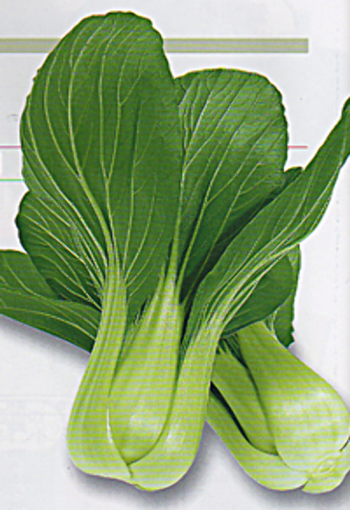 00007979_photo1.jpg