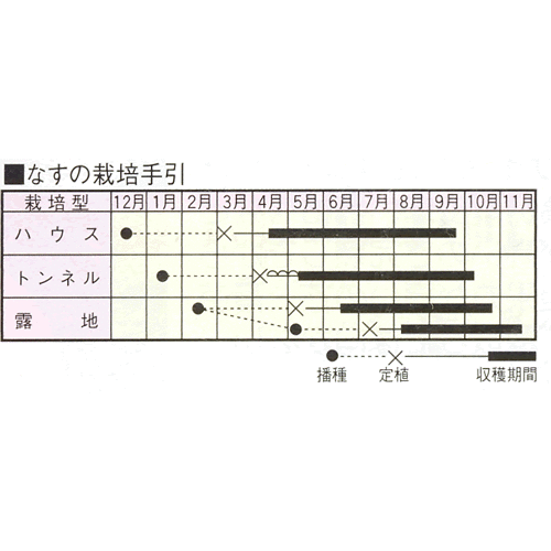 00008022_photo2.gif