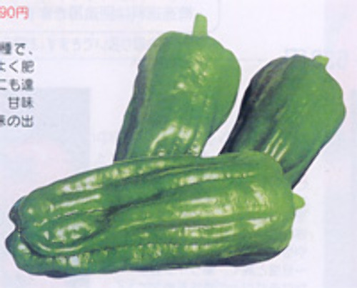 00008024_photo1.jpg