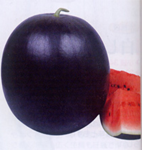 00008033_photo1.jpg