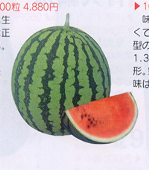 00008035_photo1.jpg