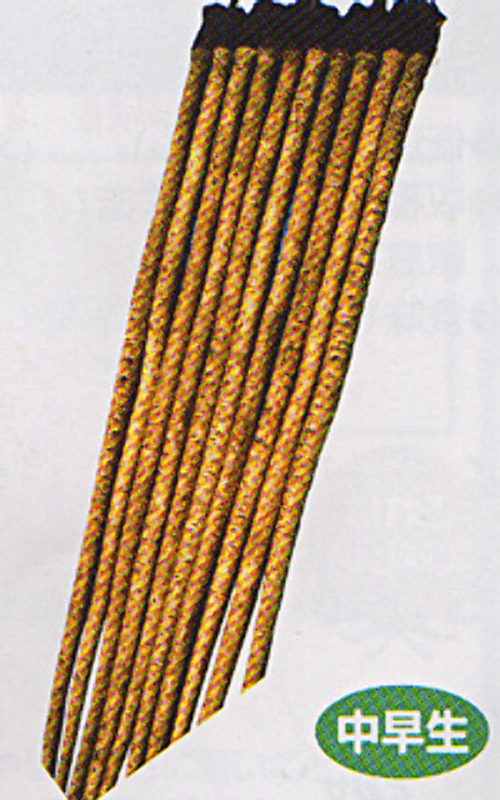 00008174_photo1.jpg