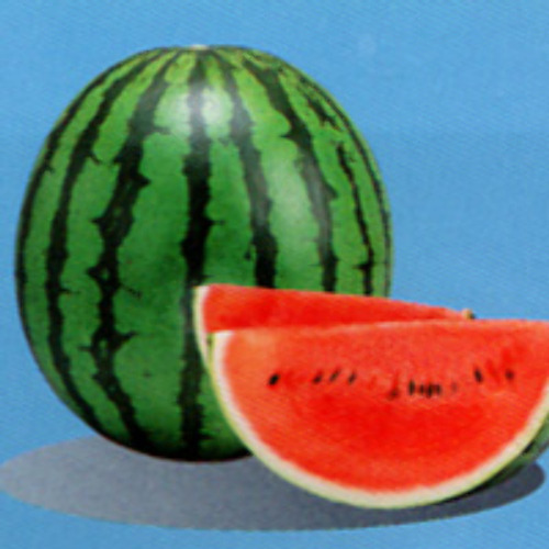 00008732_photo1.jpg