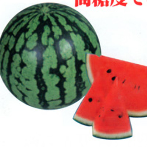 00008744_photo1.jpg