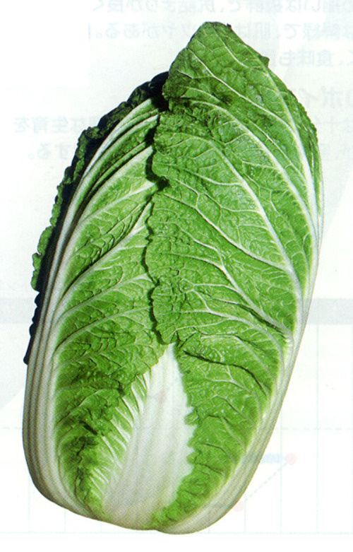 00008839_photo1.jpg