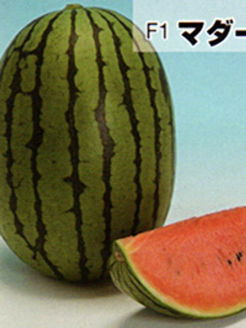 00011504_photo1.jpg