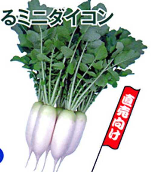00012526_photo1.jpg