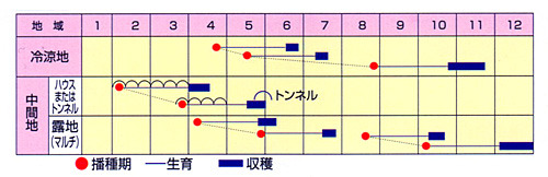 00012526_photo2.jpg