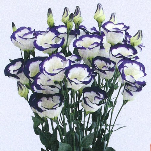 000143_63856bdb5c662.jpg