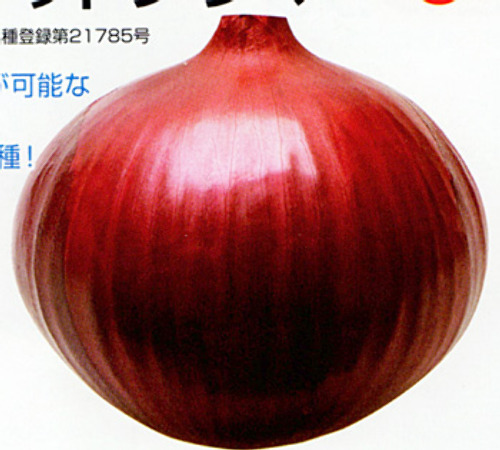 00014480_photo1.jpg