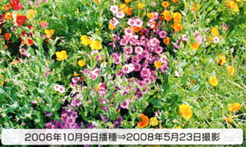 00014781_photo1.jpg
