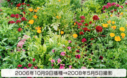 00014782_photo1.jpg