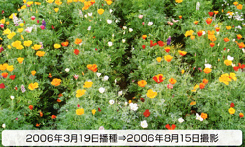 00014783_photo1.jpg