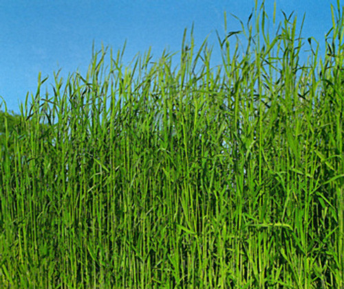 00014824_photo1.jpg