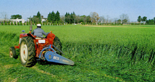 00014827_photo1.jpg
