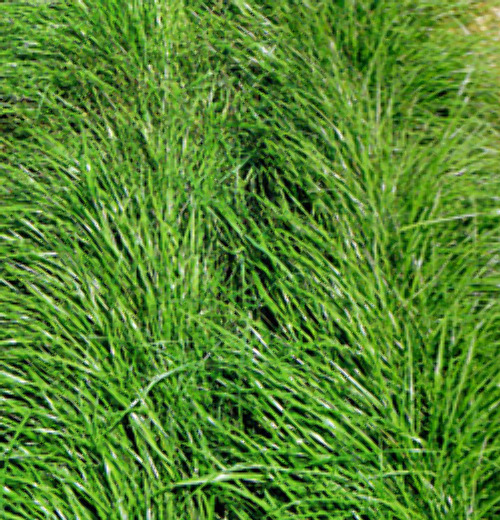 00014846_photo1.jpg