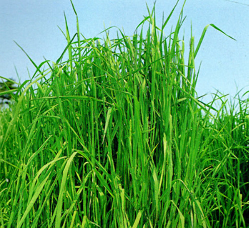 00014854_photo1.jpg