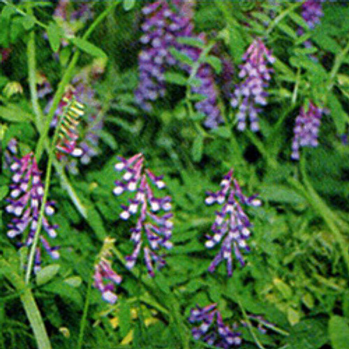 00014879_photo1.jpg