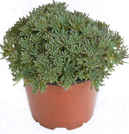 00015279_photo1.jpg