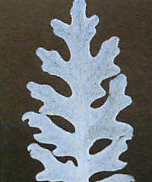 00015280_photo1.jpg