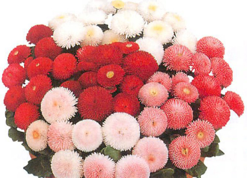 00015287_photo1.jpg