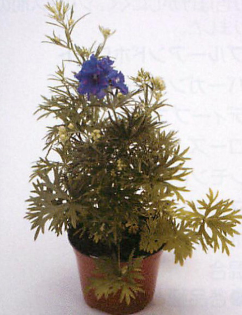 00015298_photo1.jpg