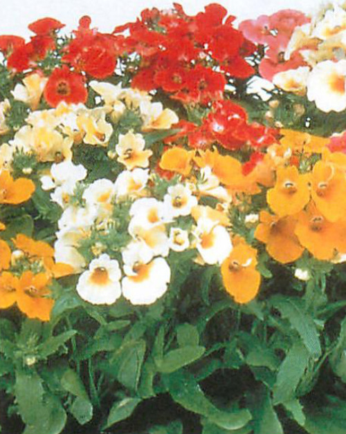 00015305_photo1.jpg