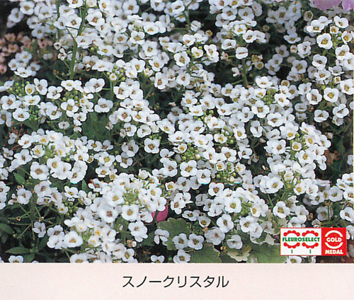 00015336_photo1.jpg