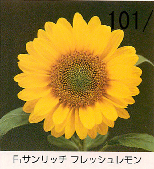 00015594_photo1.jpg