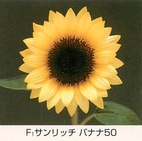 00015597_photo1.jpg