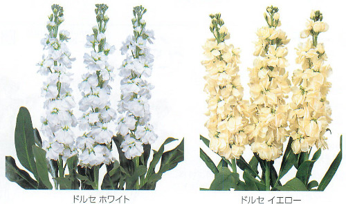 00015696_photo1.jpg