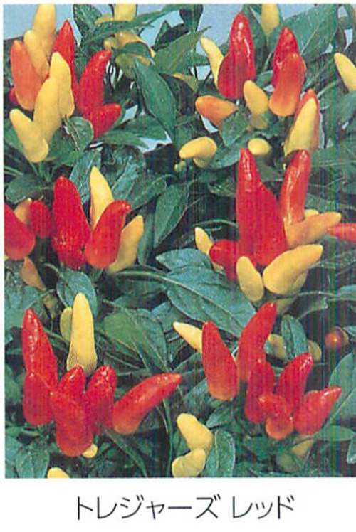 00015747_photo1.jpg
