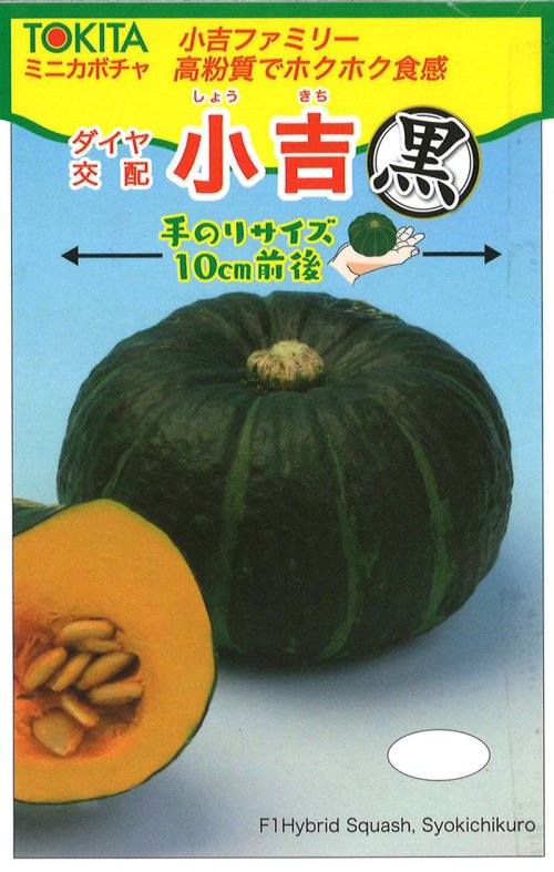 11497円 NEW 金蔵 500粒 南瓜 カボチャ かぼちゃ