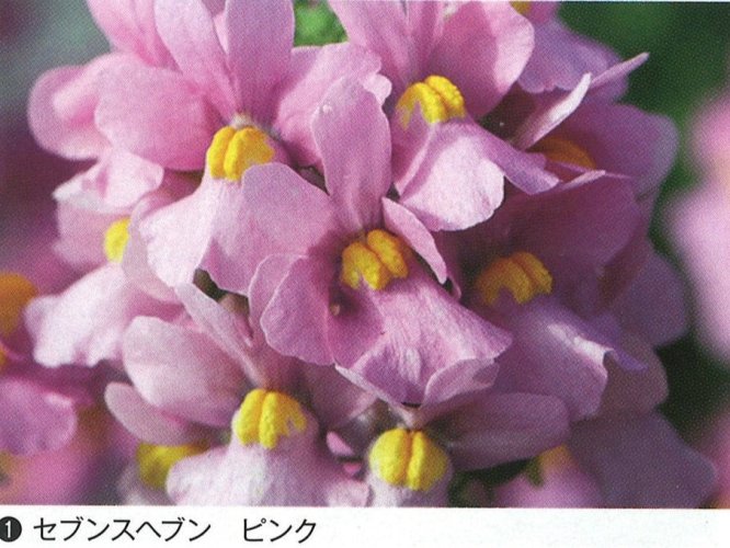 001194_64b8dfda41cf4.jpg