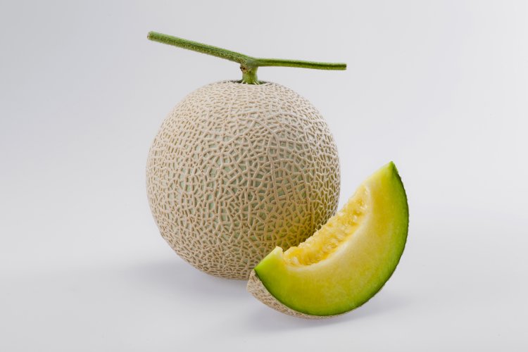 001684_63573e6448df7.jpg