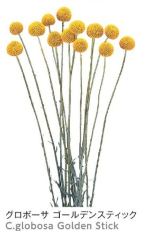 002329_651688de17c50.jpg