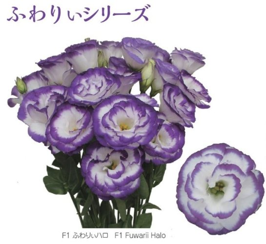 002540_650bda6ebc925.jpg