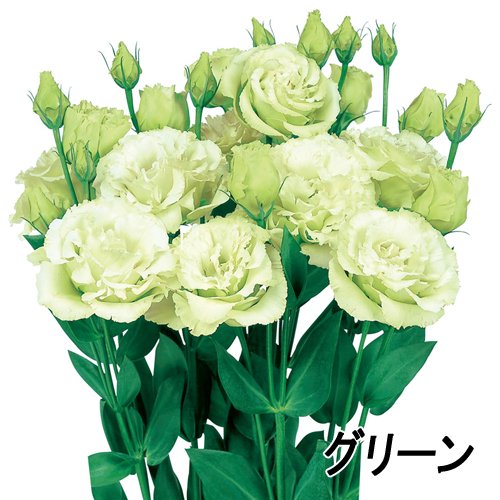 003401_64d9baeb04e91.jpg