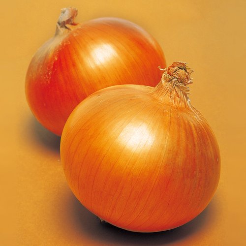 003731_6560686eb6dda.jpg
